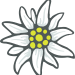 AlpingUnlimitedEdelweiss_300x313